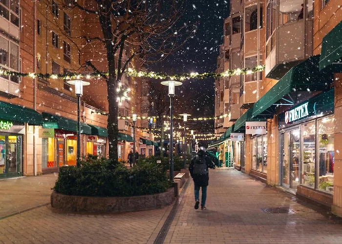 Moderne 2 Roms Leilighet I Hjertet Av Oslo